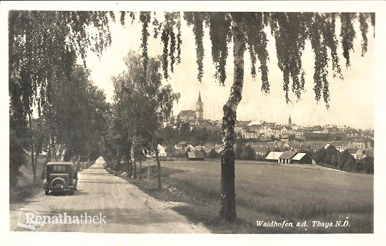 AK-Waidhofen-a-d-Thaya-Blick-von-Strasse-mit-Birken-auf-Ort-mit-Kirchturmver