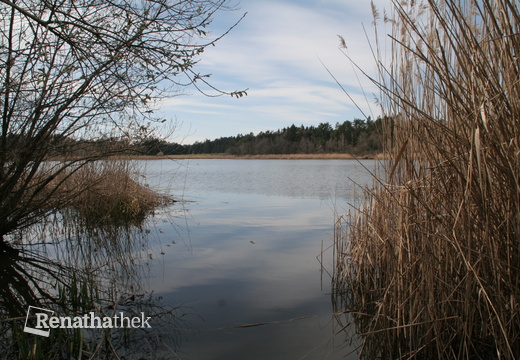 Bergteich