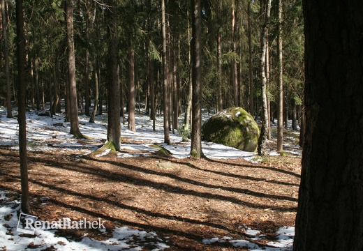 Platz des Scorpions