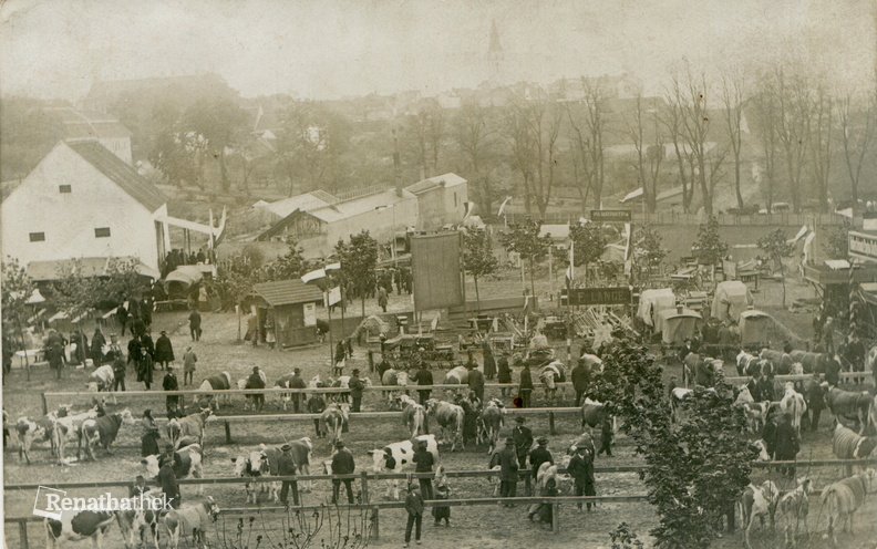 Sokolovna tržiště - 1914.jpg