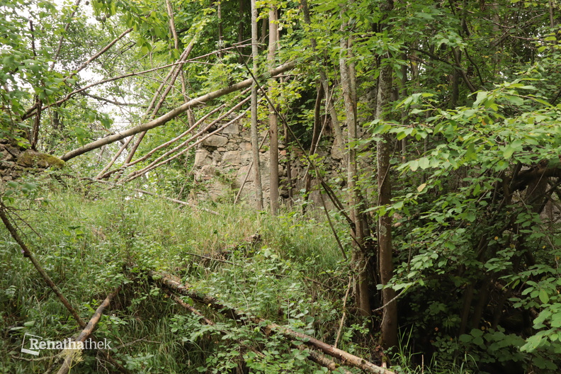 Im Wald versteckte Ruinen.JPG