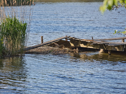 Kleiner Teich - Sch+Ânfelder Teich (3)