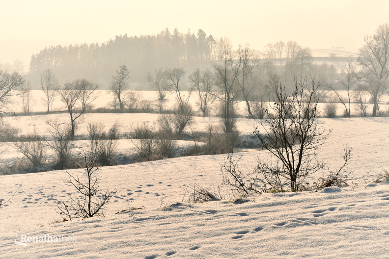 winter1_Matthias_Ledwinka.jpg