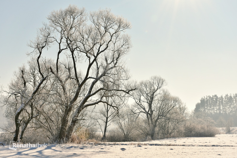 Winter2_Matthias_Ledwinka.jpg