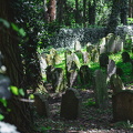Jüdischer Friedhof Písečné M Ledwinka-5