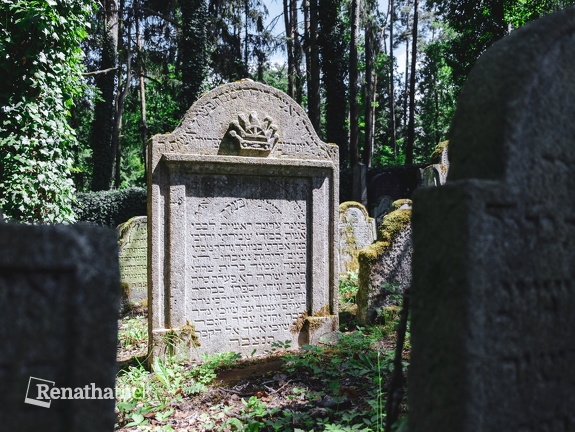 Jüdischer Friedhof Písečné M Ledwinka-1