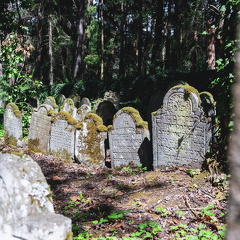 Jüdischer Friedhof Písečné M Ledwinka-2