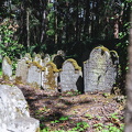 Jüdischer Friedhof Písečné_M_Ledwinka-2.jpg