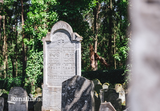 Jüdischer Friedhof Písečné M Ledwinka-3