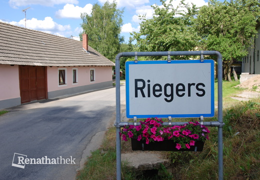 Riegers