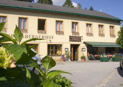 Gasthaus Pension Dobersbergerhof