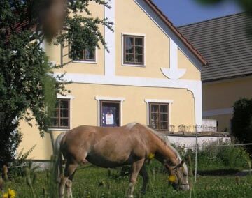 Wegwartehof - Farmářský obchod , Dětské jezdecké prázdniny.