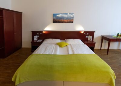 Thayarunde City Hotel Waidhofen an der Thaya***-5