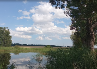 Naturdenkmal – Uherčicer Wiese