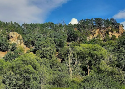 Naturschutzgebiet Suché skály /  Dürre Felsen