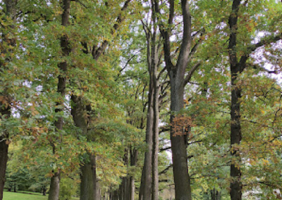 Schlosspark Třešť